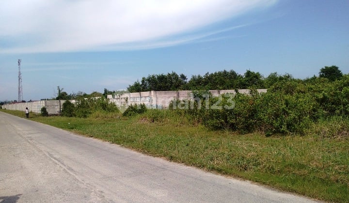 Dijual Tanah Luas 14 Ha di Jl. Raya Sicanang, Belawan Medan