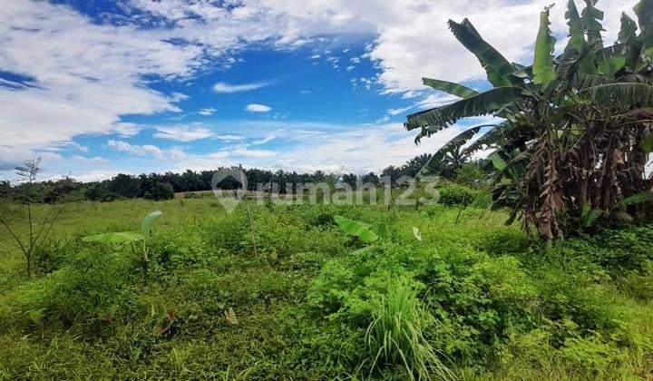 Dijual Tanah Luas 24 Ha Berpagar Tembok di Glugur Rimbun Medan