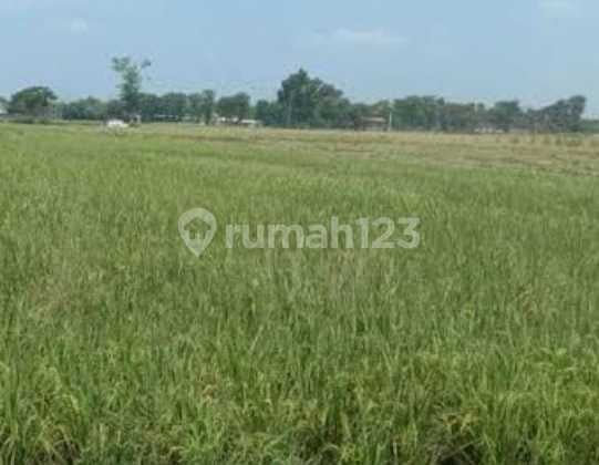 Double Way Tanah CitraLand Puncak Golf di Surabaya Barat Double Way Tanah CitraLand Puncak Golf di Surabaya Barat