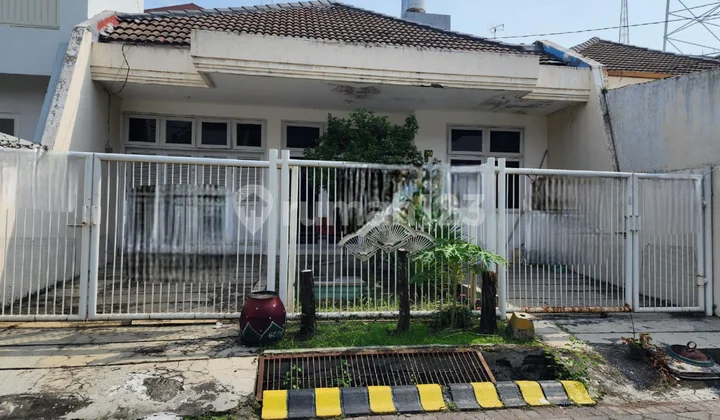 1,5 Lantai Rumah di Simpang Darmo Permai Selatan Murah 1,5 Lantai Rumah di Simpang Darmo Permai Selatan Murah