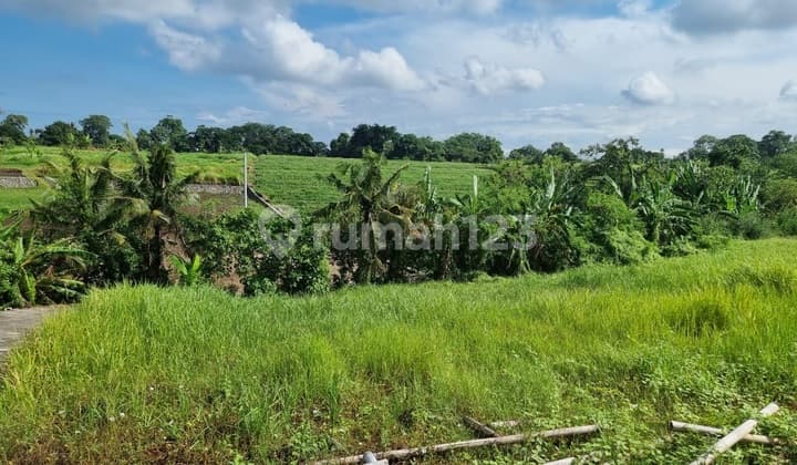 Land For Sale 4,5 Are In Jl Pantai Kedungu Bali Ek-4057