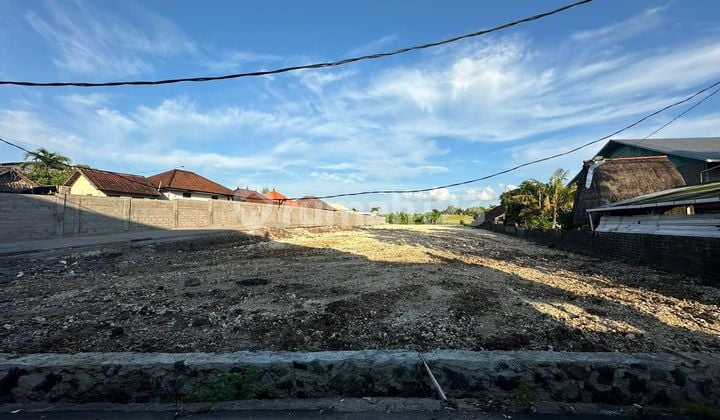 Plot of land for sale 3.31 Are Padonan, Canggu Jt 2163