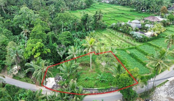 Land for sale 12.17 Are Melinggih Klod Payangan Sh 2210