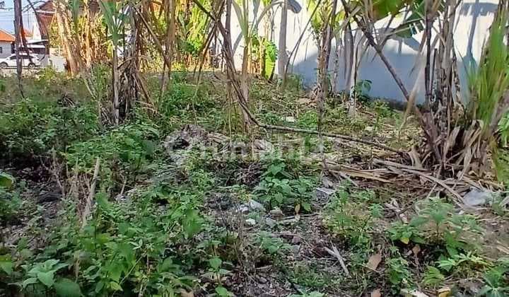 For Sale 5 Are Land Ocean View Jimbaran, South Kuta Ij 2501