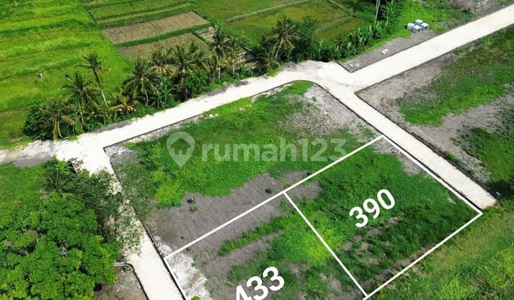 For Sale Land 3,9 Are And 4,33 Are Kedungu Beach SN-3120