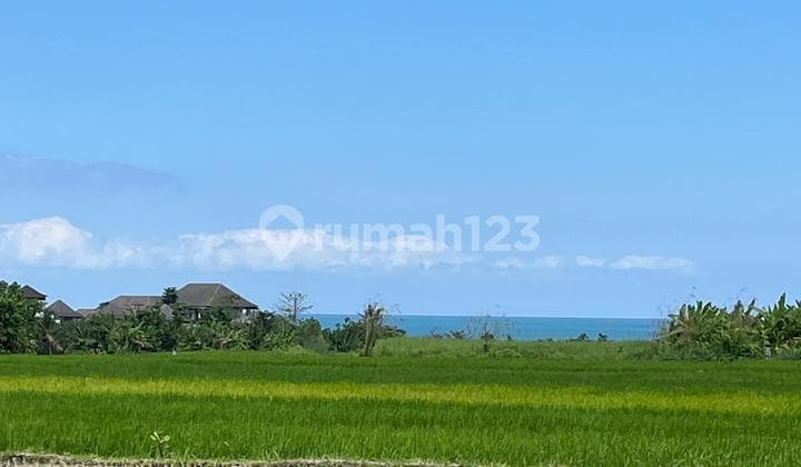 Dijual Tanah 33 Are Di Pantai Yeh Gangga Tabanan Sh 2431