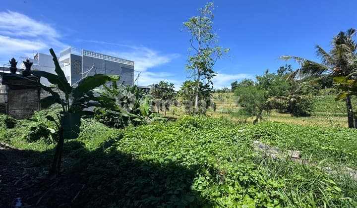 Land For Sale 2,15 Are In Buduk,Near Tumbak Bayuh DR-3767