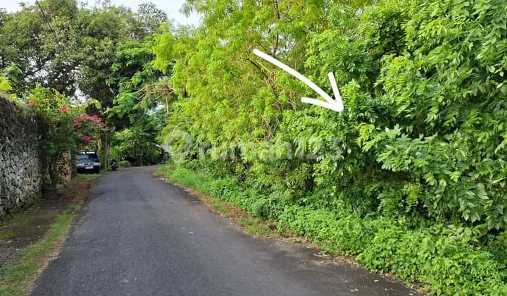 Land For Rent 3,96 Are In Jl Temu Dewi,Pecatu Ij-4106