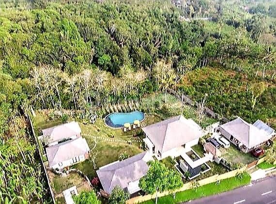 Dijual Villa Modern 5 Bed Jungle View Payangan Ubud KC-2913