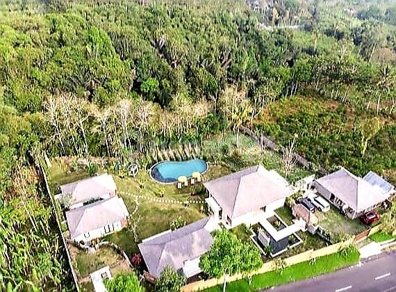 Dijual Villa Modern 5 Bed Jungle View Payangan Ubud KC-2913
