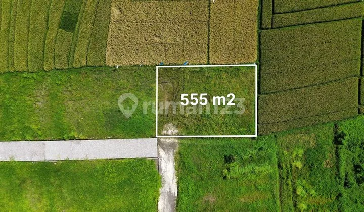 Dijual Tanah View Ricefield 5,55 Are Kedungu,Tabanan EK-2909