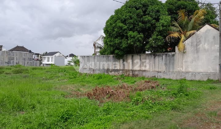 Land For Sale 5 Are In Kedungu,Tabanan Bali Jh-4001