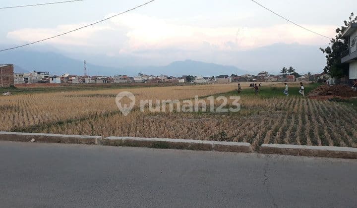 Dijual Cepat Tanah Posisi Strategis Mainroad