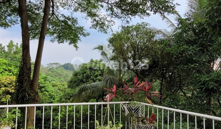 Nice House With Mini Forest Green Golf Hill Sentul City Bogor