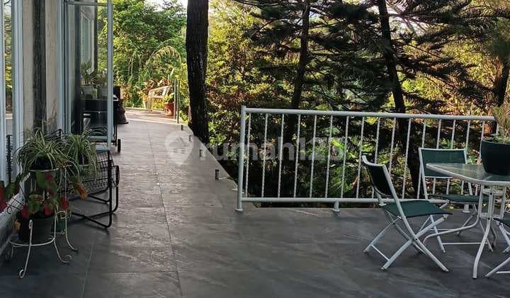 Rumah Halaman Luas Bagus Unfurnished Ada Mini Forest SHM Bukit Golf Hijau Sentul City Bogor