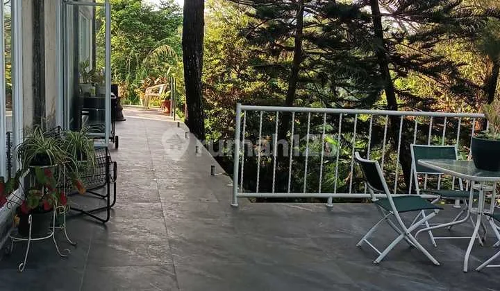 Rumah Halaman Luas Bagus Unfurnished Ada Mini Forest SHM Bukit Golf Hijau Sentul City Bogor