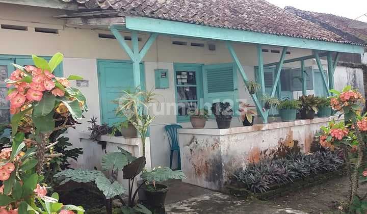 Rumah 1 Lantai Dekat Hotel Borobudur Indah Jl. Kapuas Magelang