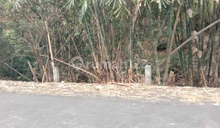 Tanah SHM Pekarangan Dekat Pasar Ngijon Area Moyudan Sleman