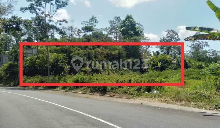 Tanah SHM Dekat Kopi Puncak Menoreh Girimulyo Kulon Progo