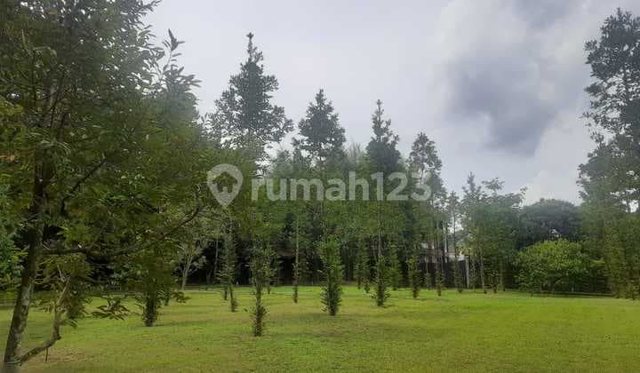 Tanah Luas Bonus Bangunan Area Krapyak Ngemplak Sleman