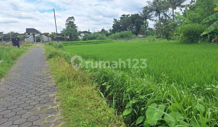 Tanah Sawah Dekat Pemda Sleman Area Banaran, Mlati, Sleman