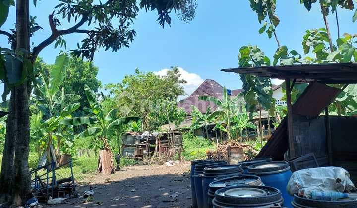 Jual Cepat Tanah SHM Tepi Jalan Samping Terminal Giwangan Yogyakarta