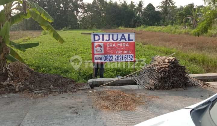 Tanah Sawah Kawasan Jl. Kapten Hariyadi Sleman