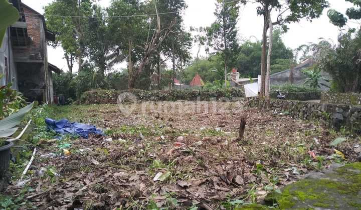 Tanah Kawasan Perkebunan Salak Turi Sleman