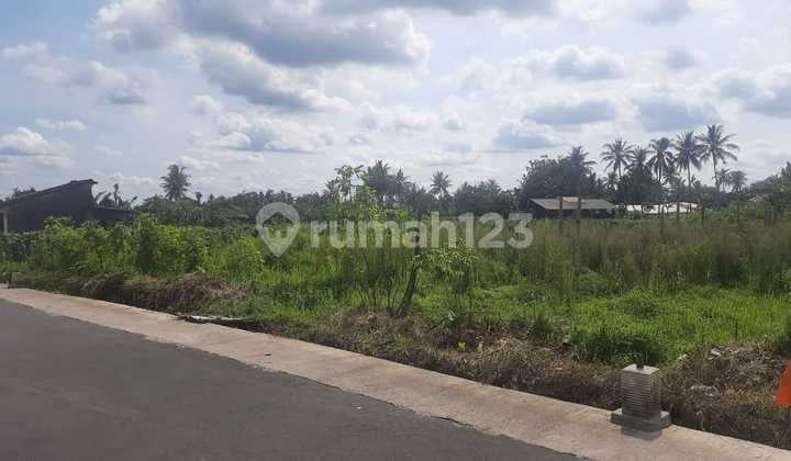 Tanah SHM Kawasan Balong Jl. Palagan Sleman