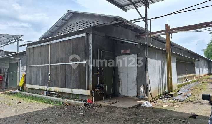 Peternakan Kawasan Pabrik di Jl. Kranggan pringsurat Temanggung