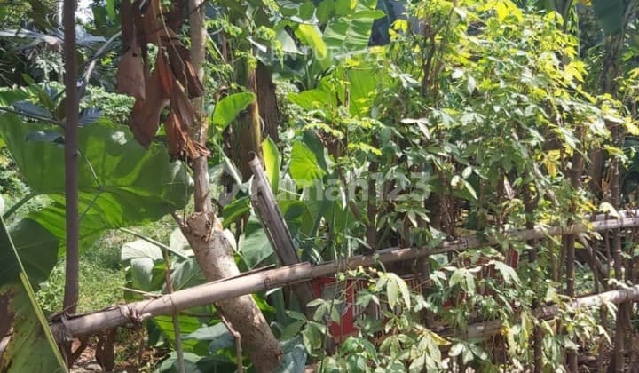 Kavling Siap Bangun Luas 600 Di Jombang Dm 16793