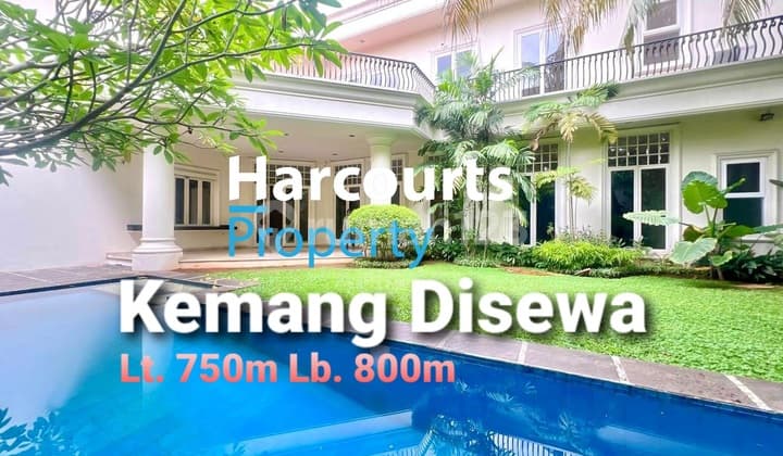 Rumah mewah luas di Kemang