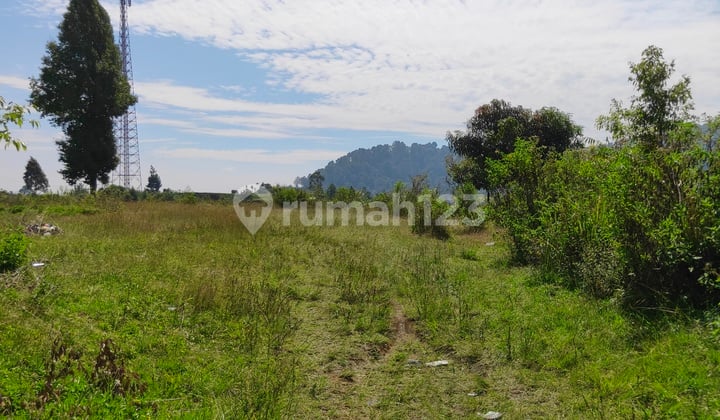 Tanah Dijual Murah Area Wisata Gambung Ciwidey Bandung
