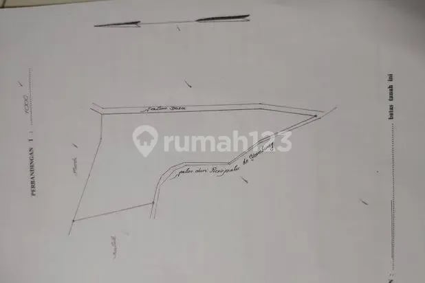 Tanah Murah Downslope Untuk Investasi di Gambung Desa Mekar Sari Bandung