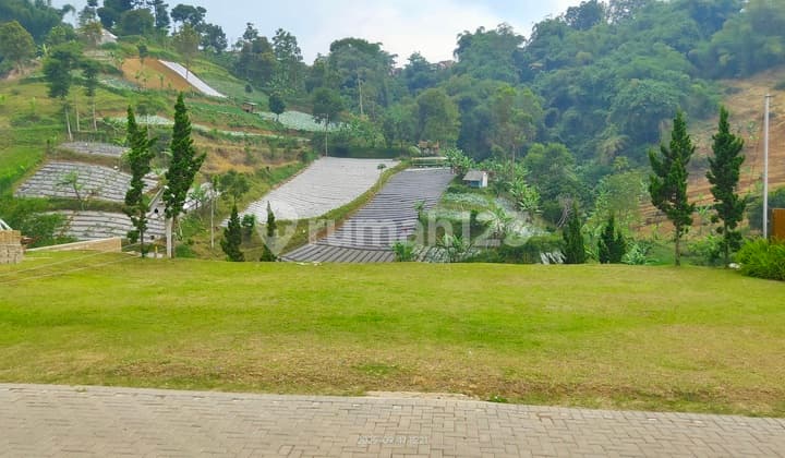 Dijual Tanah untuk Glamping Mahkota Sangkuriang Cisarua, Bandung Barat