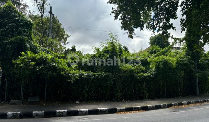 Turun 40 M Tanah Murah Sunset Road Kuta Badung Bali Harga Dibawah Pasaran