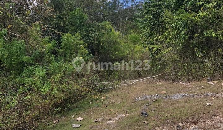 Diskon 10 M Tanah Murah Jl Raya Uluwatu Pecatu Harga Dibawah Pasaran