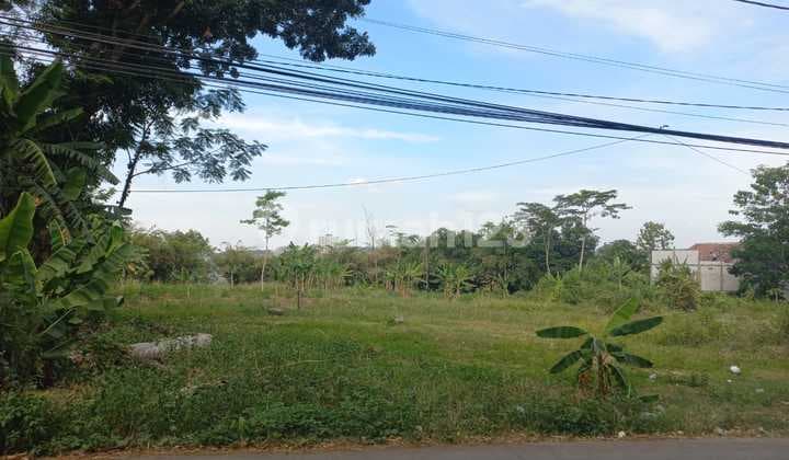 Tanah Murah Jl Bukit Gondorio Ngaliyan Semarang Harga Dibawah Pasar