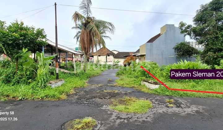 Tanah Super Murah Di Palem Binangun