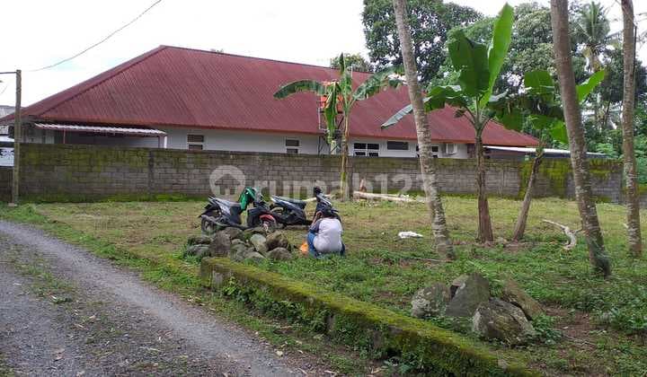 TANAH SUPER MURAH DI JALAN KALIURANG KM 16