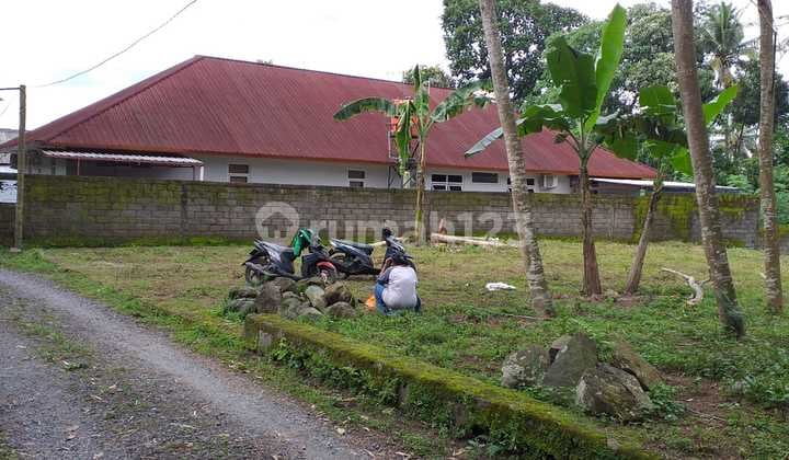 TANAH SUPER MURAH DI JALAN KALIURANG KM 16