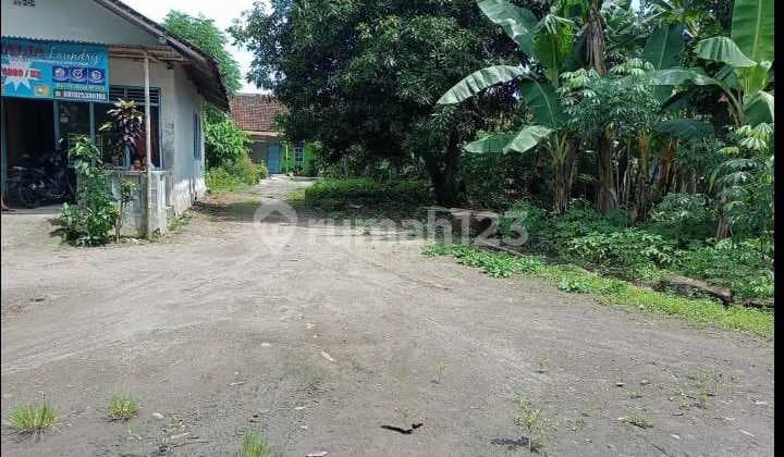 TANAH SUPER MURAH DI CUKUWATU 2 PURWOMARTANI