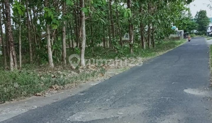 TANAH SUPER ISTIMEWAH DAN MURAH DEKAT KAMPUS UII DI JALAN KALIURANG KM 12