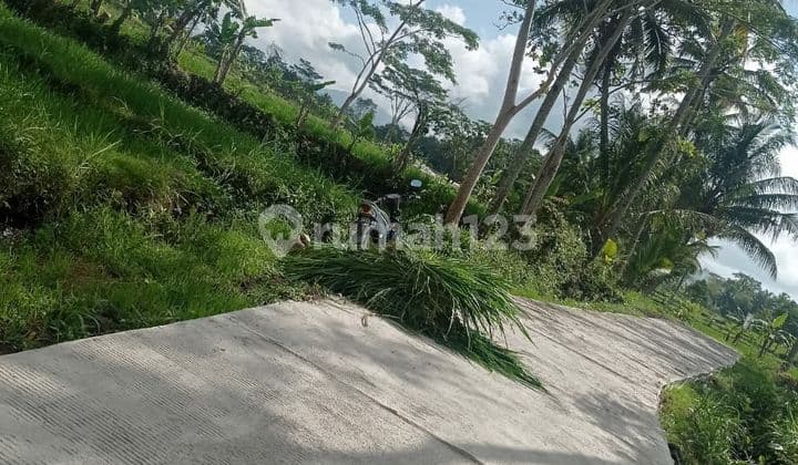 TANAH SUPER MURAH VIEW MERAPI DI WUKISARI CANGKRINGAN
