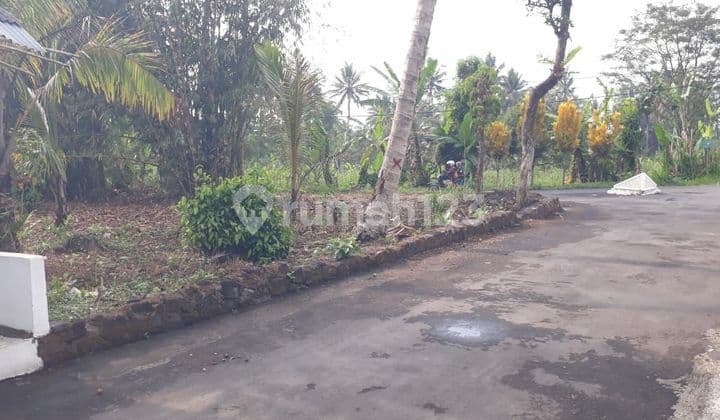 TANAH CANTIK DAN SUPER MURAH DI JALAN PAKEM