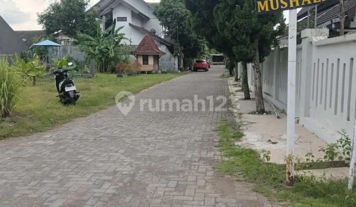 TANAH SUPER ISTIIMEWAH DAN MURAH DI POGUNG JALAN KALIURANG 5 TANAH SUPER ISTIIMEWAH DAN MURAH DI POGUNG JALAN KALIURANG 5