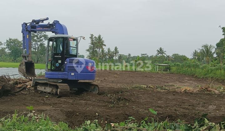 TANAH BAGUS DAN MURAH DI WEDOMARTANI