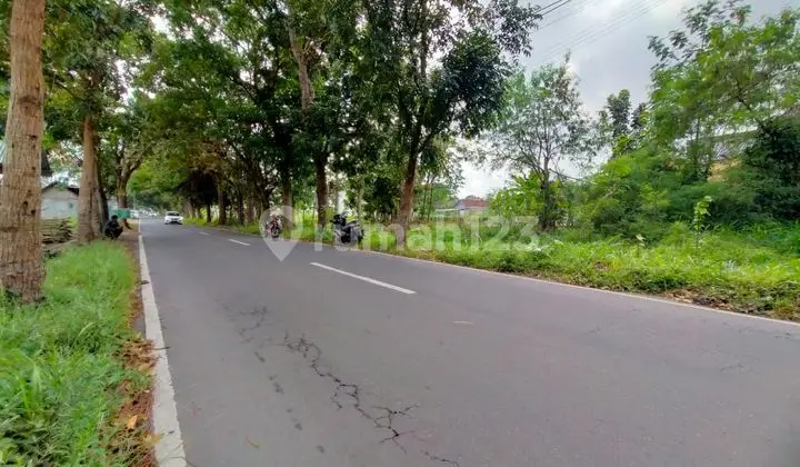 TANAH SUPER ISTIMEWA DAN MURAH DI JALAN GITO GATI