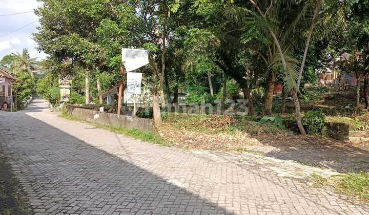 Tanah Super Istimewa dan Murah Dekat Kampung Wisata Flory