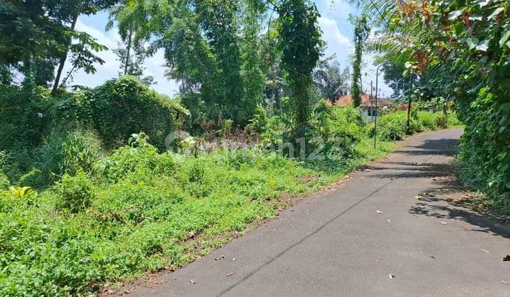 Tanah Super Istimewa Di Pakem